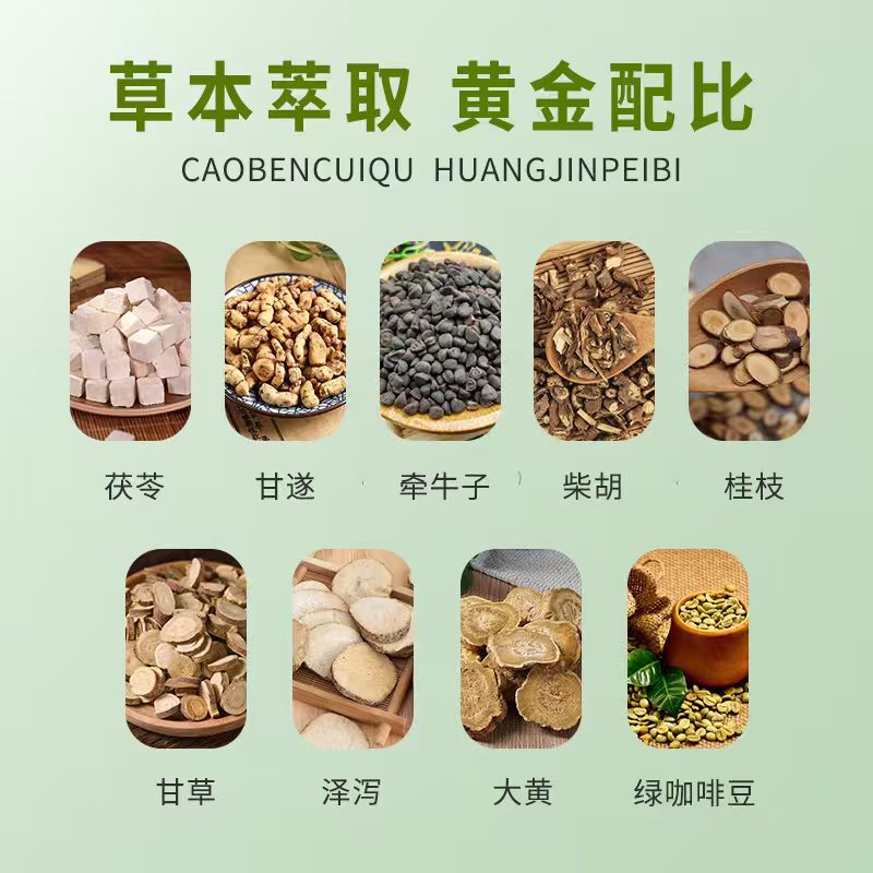 20 pastas de moxibustión para  - Health & Wellness Rehab reseña y precio