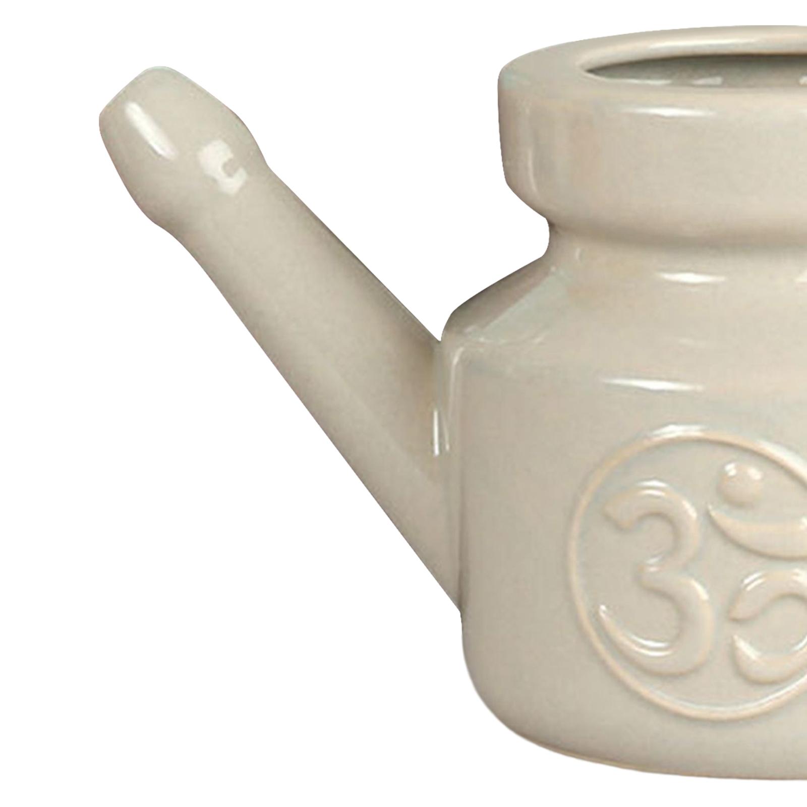 Recipiente de 350 ml con Boqui - Neti Pot Nasal Rinse reseña y precio