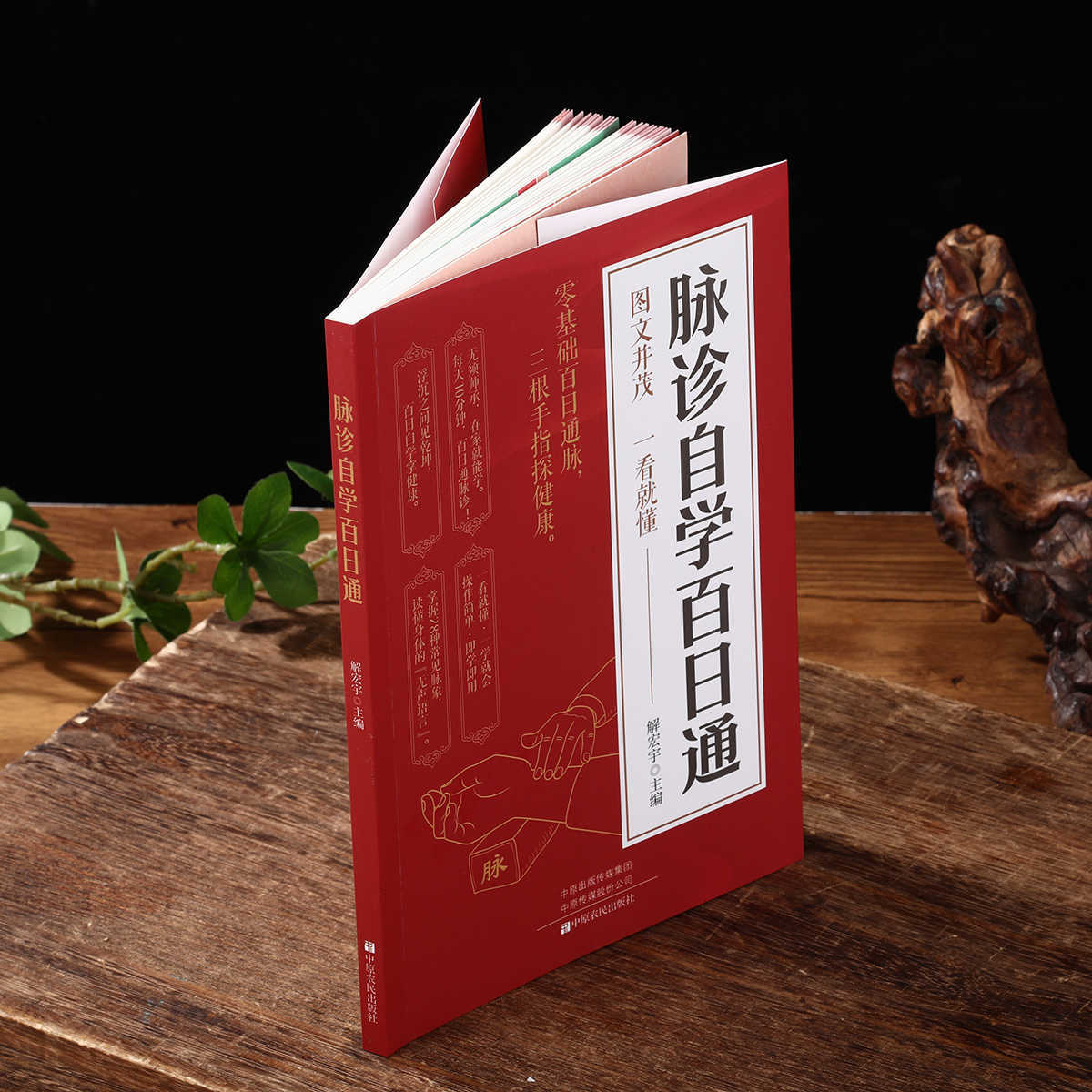 Libro de autoestudio sobre dia - Health & Wellness Rehab reseña y precio