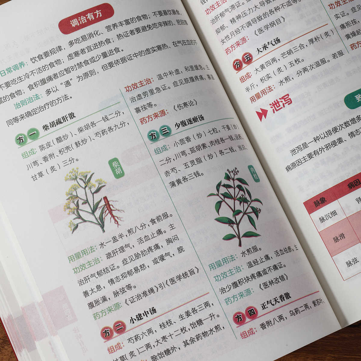 Libro de autoestudio sobre dia - Health & Wellness Rehab reseña y precio